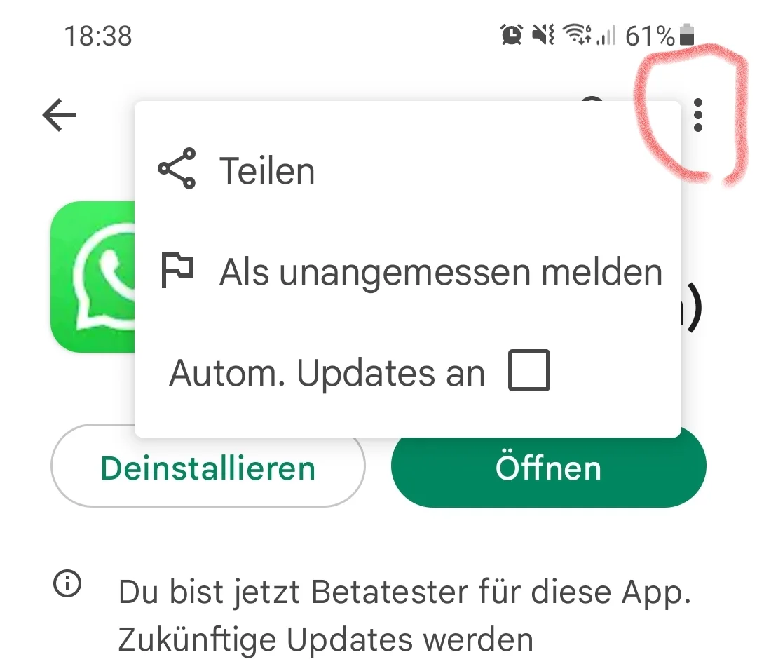 Screenshot_20221122-183909_Google Play Store.webp