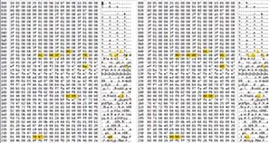 F2StockClone.webp