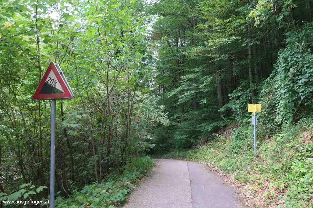 Piestingtal-Radweg_22.jpg