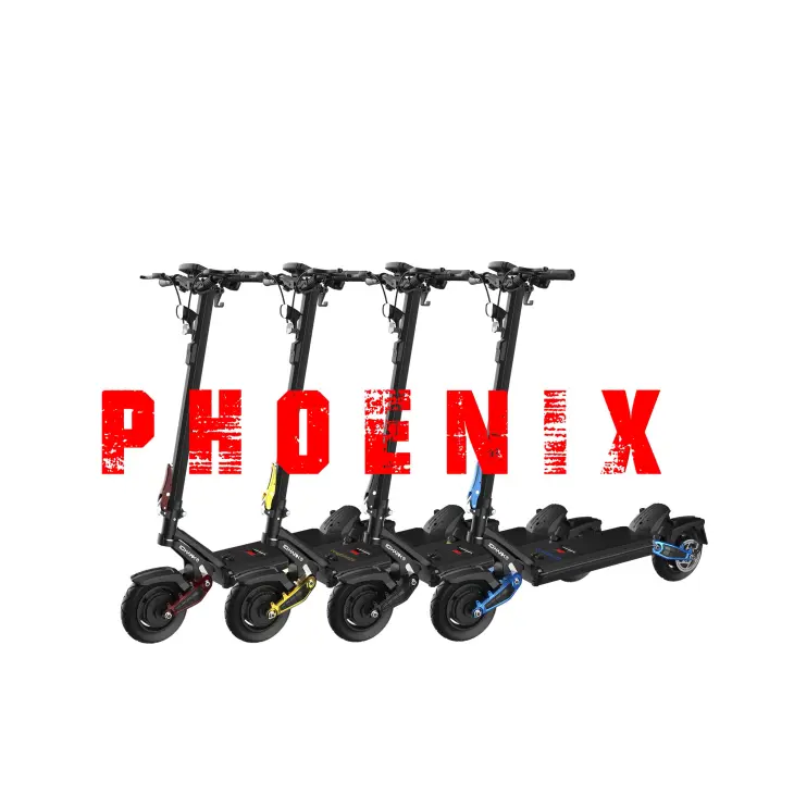 phoenix.webp